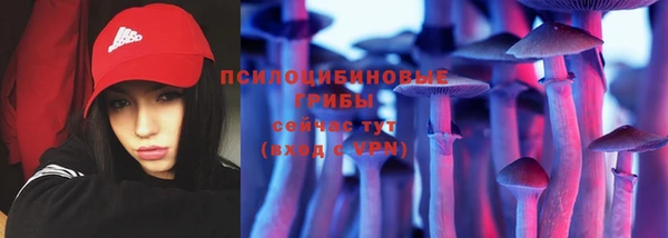 COCAINE Гусь-Хрустальный