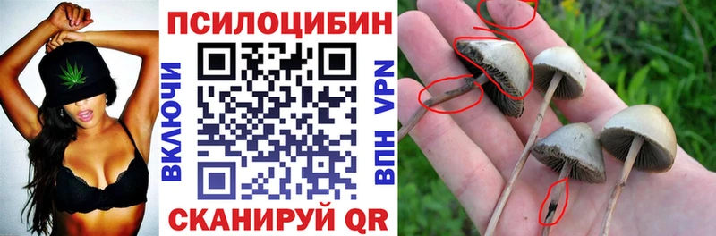 Псилоцибиновые грибы прущие грибы  наркота  Долинск 